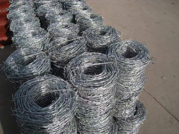 barbed wire-1